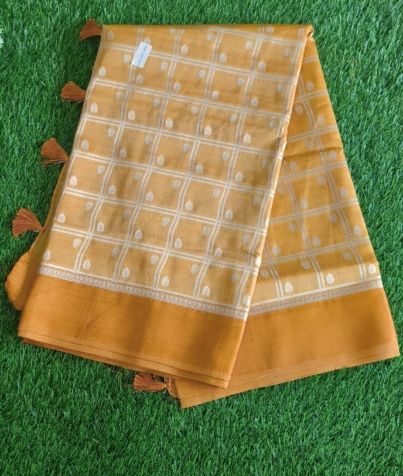 IMG_7_Yellow_Fancy (1)