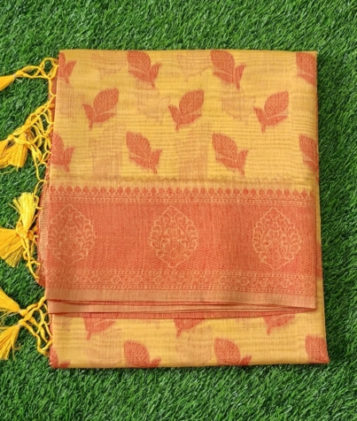C Saree 2 (1)